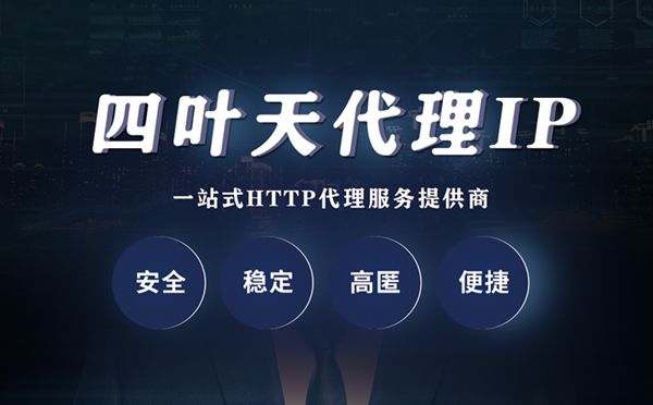 【龙岩代理IP】代理ip客户端使用教程